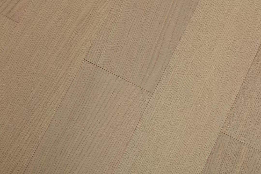 ZX610直紋-1.jpg